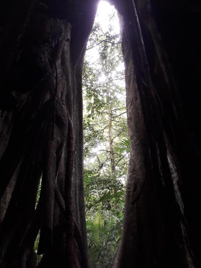 Finca Lindos Ojos Estelí Εξωτερικό φωτογραφία