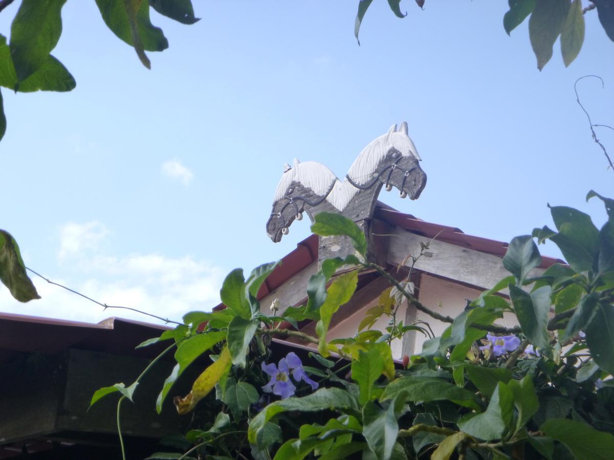 Finca Lindos Ojos Estelí Εξωτερικό φωτογραφία